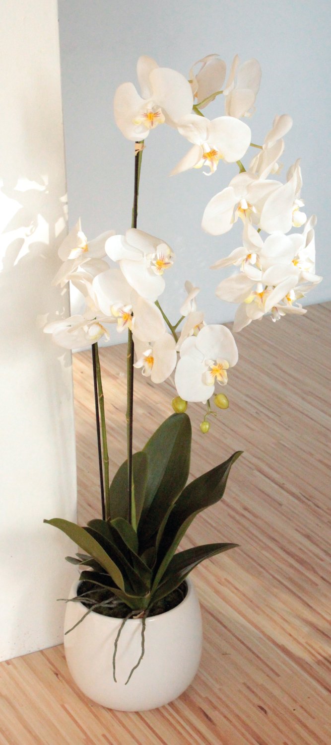 2604 778 a3 Искусственная орхидея Phalaenopsis, 2-х кратная, в керамическом горшке, 100 см, real touch, бежево-белая H-andreas  - Вид №2