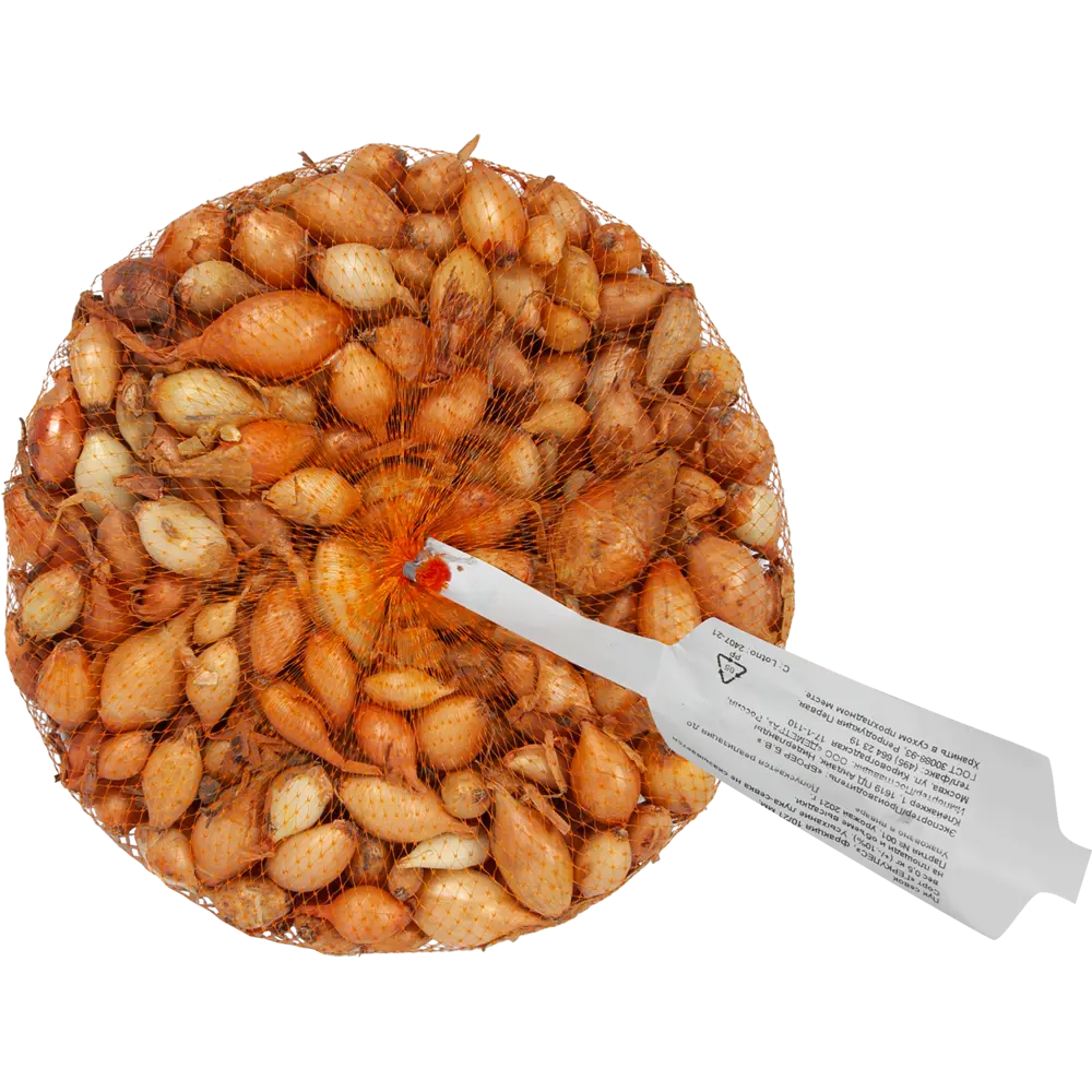 Лук-севок Геркулес 10/21 0.5 кг Santreyd STLM-2156443 - Вид №1