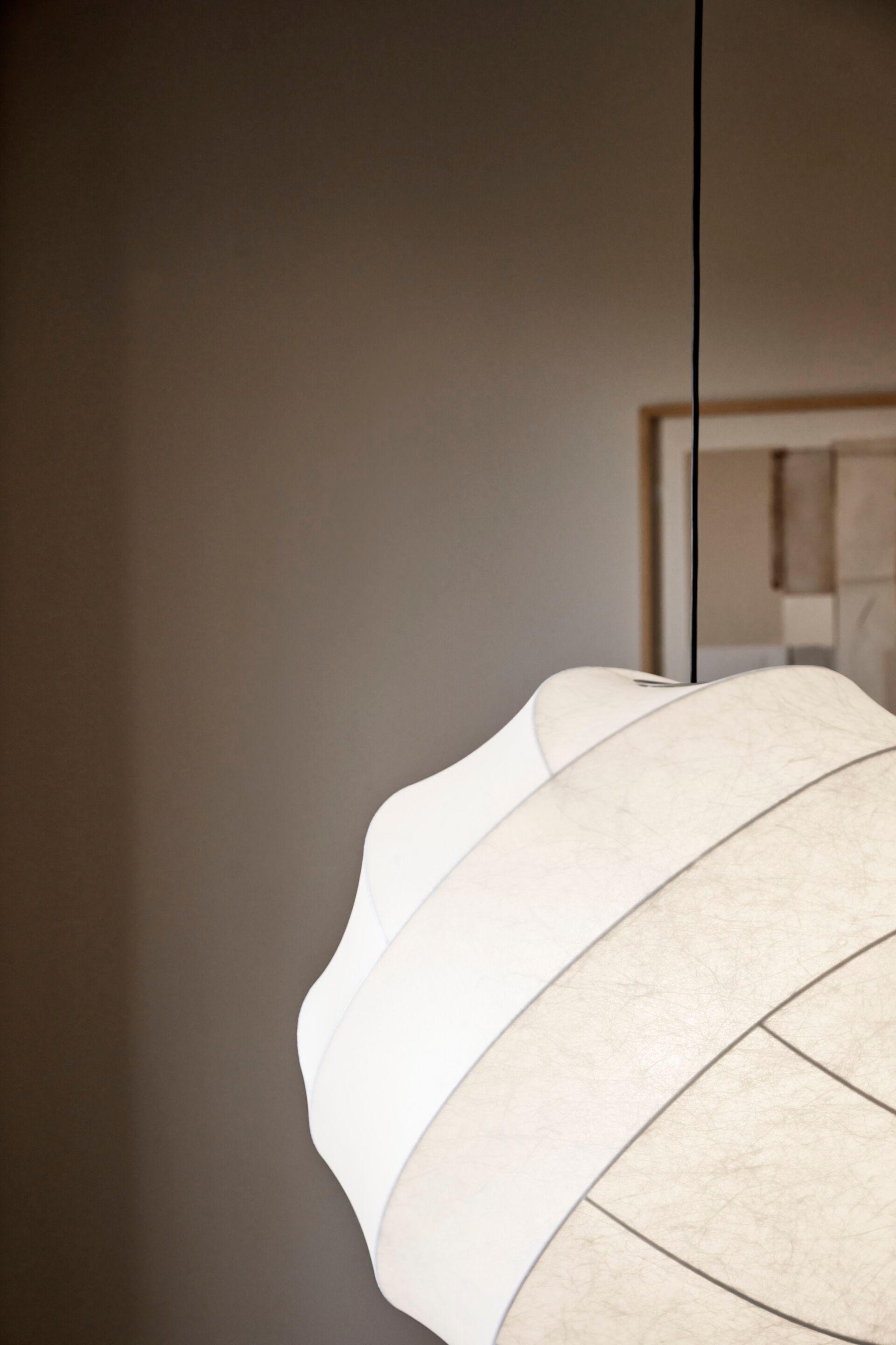 Cocoon смола подвесной светильник Pholc Turner ARCH-00065684 - Вид №1