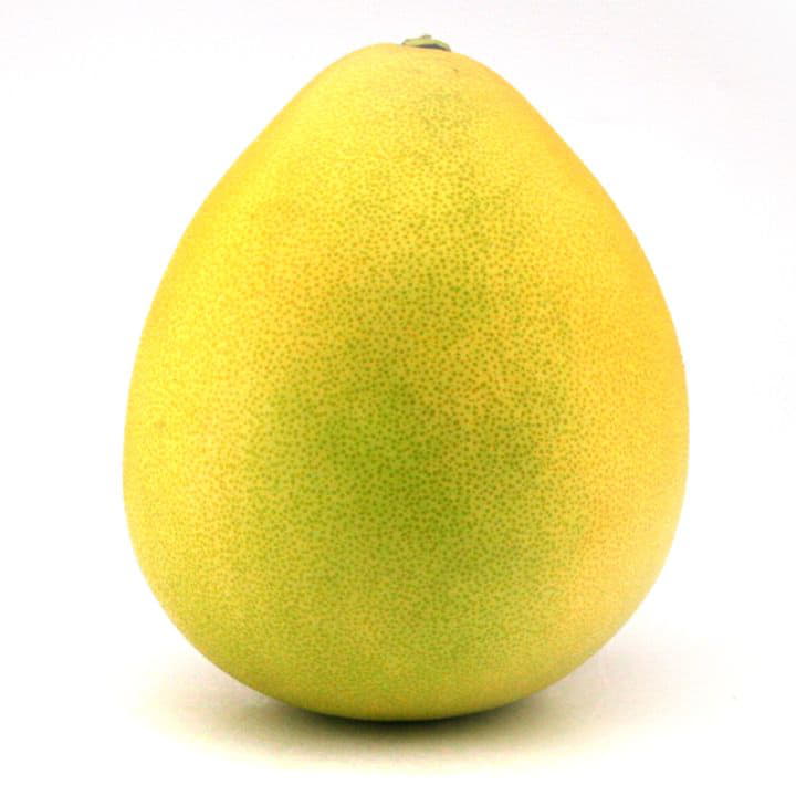 Помело белое 0,3 - 1,5 кг Santreyd 8851 - Вид №1