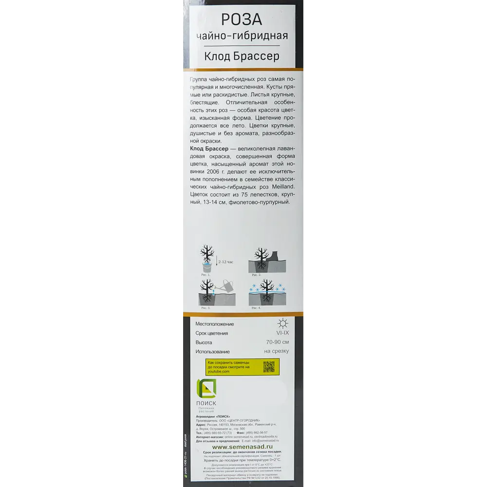 Роза Мейян чайно-гибридная «Клод Брассер» 82150698 STLM-2016076 Santreyd  - Вид №2