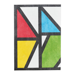 NC-123 Обложка на паспорт - new impression; сделан из tyvek® New wallet