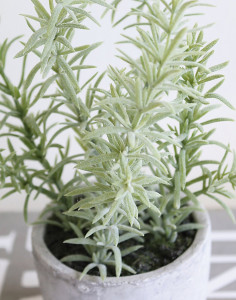 6135 883 a3 Искусственный розмарин, горшок, 19 см, зеленый H-andreas
