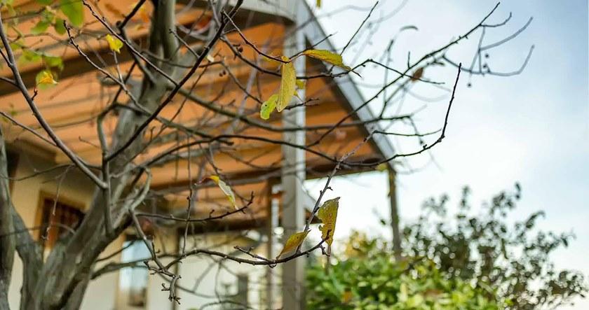 L'Officina by Adami Пристроенная пергола из металла sun-id-1378706 - Вид №9