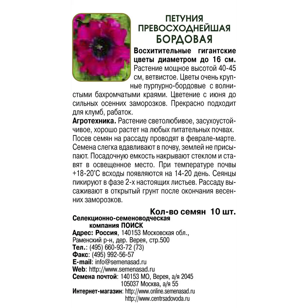 Петуния превосходнейшая Люкс бордовая, 6 г 82102302 STLM-2057181 ПОИСК  - Вид №1
