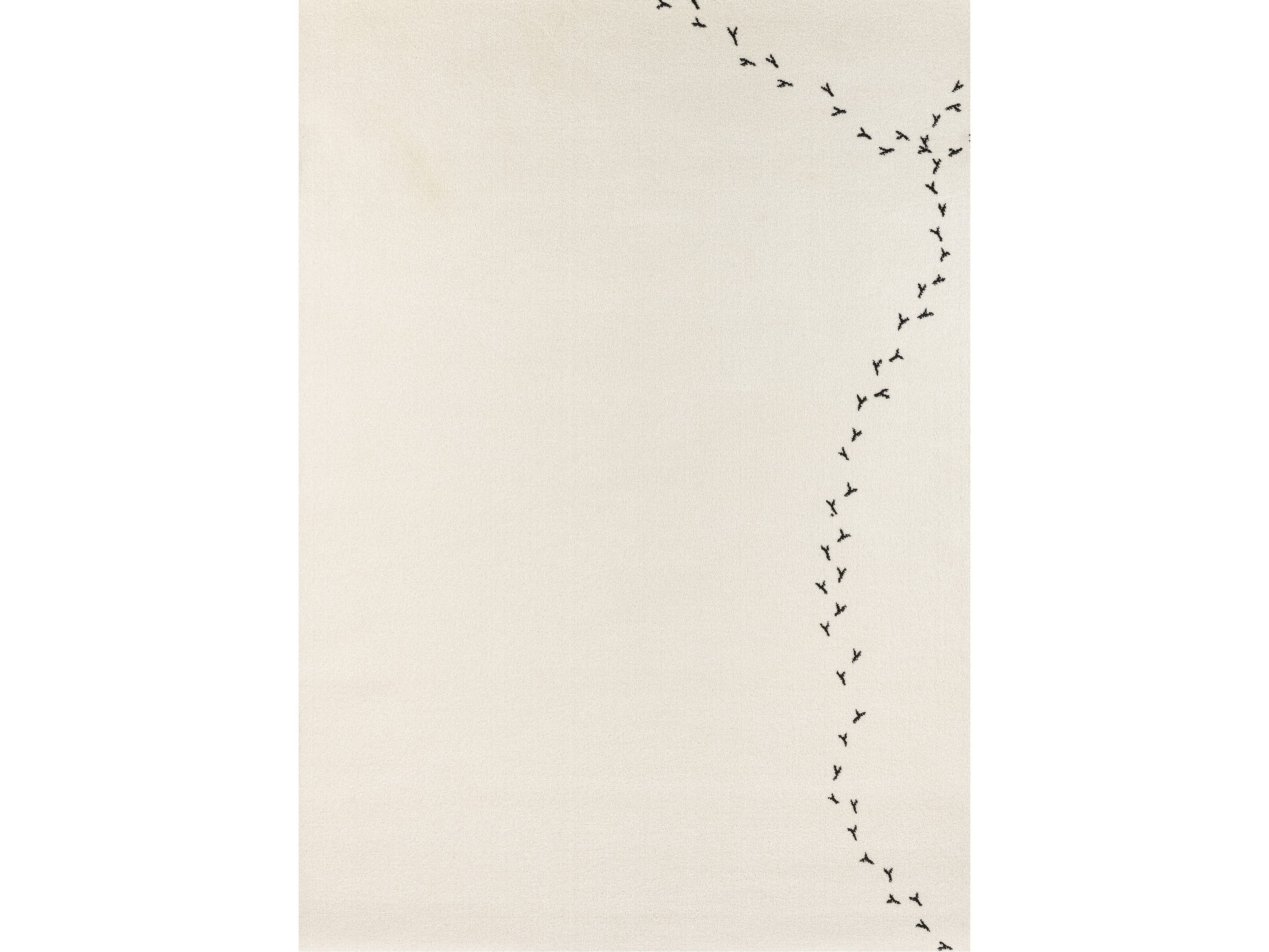 Полипропиленовый ковер Shishka Project PIGEON IN THE SNOW ARCH-00090257 - Вид №1