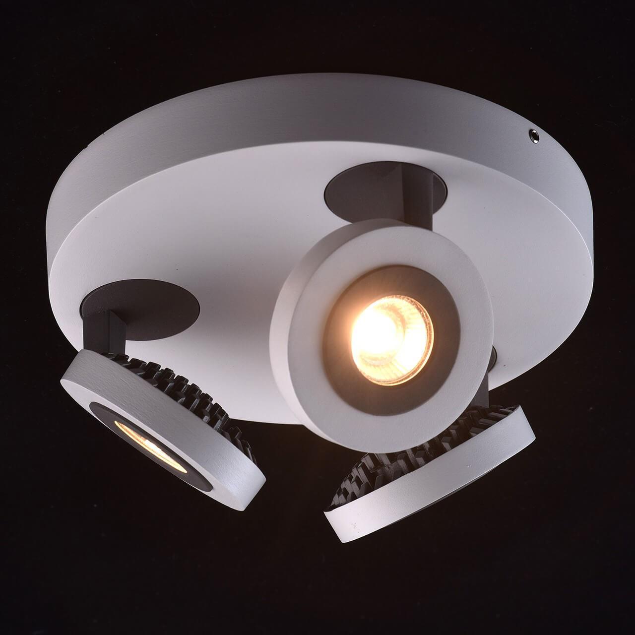 Спот потолочный белый De Markt "Астор 3" 545020903 DE MARKT АСТОР 00-3924001 Белый - Вид №2