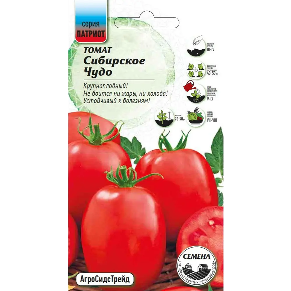 Семена овощей томат Сибирское чудо 20 шт Santreyd STLM-2157137