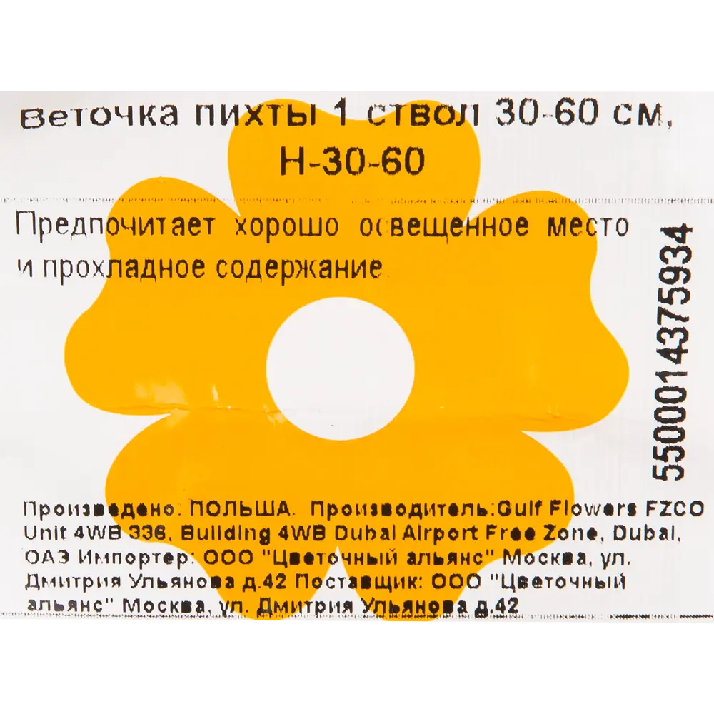 Ветка Пихты живая срезанная 30-60 см Santreyd STLM-2075447 - Вид №3