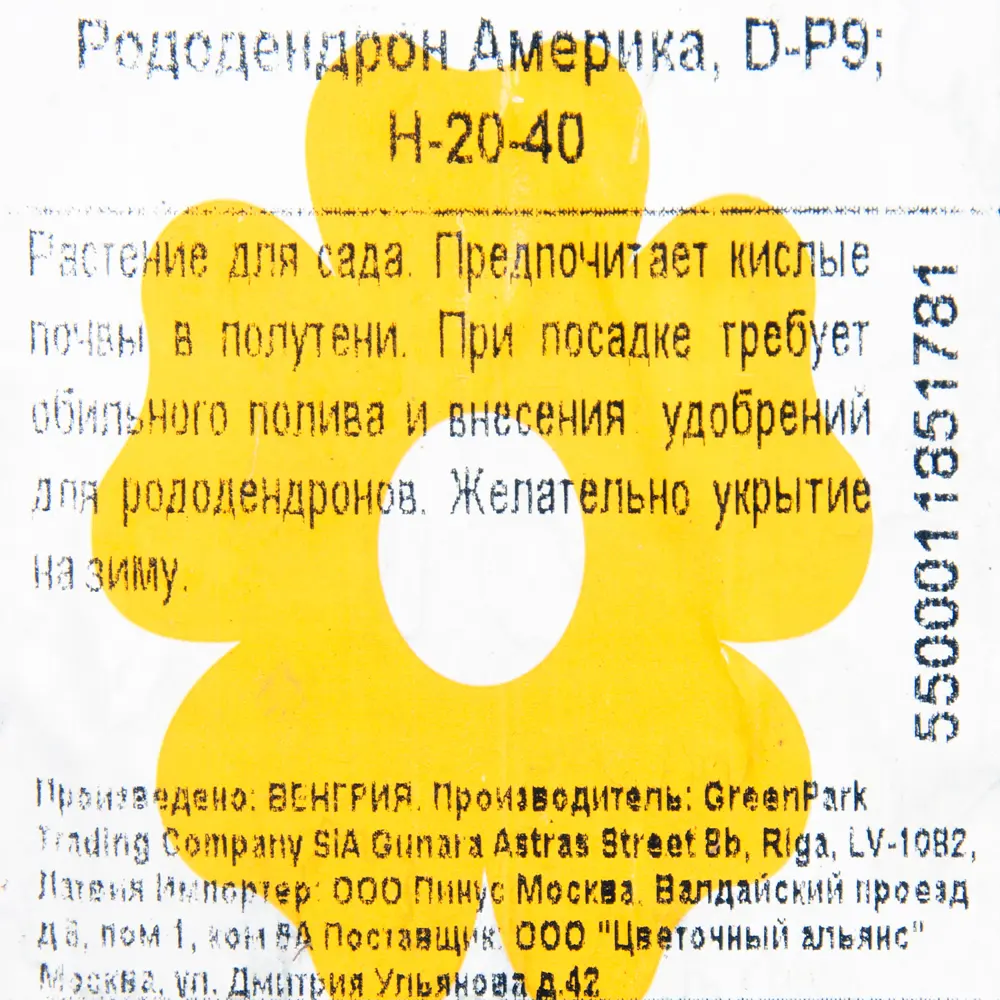 Рододендрон Америка P9 17892025 STLM-2137404 Santreyd  - Вид №1