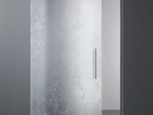 Украшенное матовое стекло