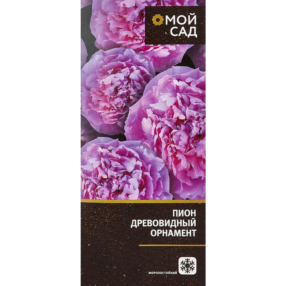 Пион древовидный микс ø9.2 h20 см 89352988 STLM-2122457 Santreyd 