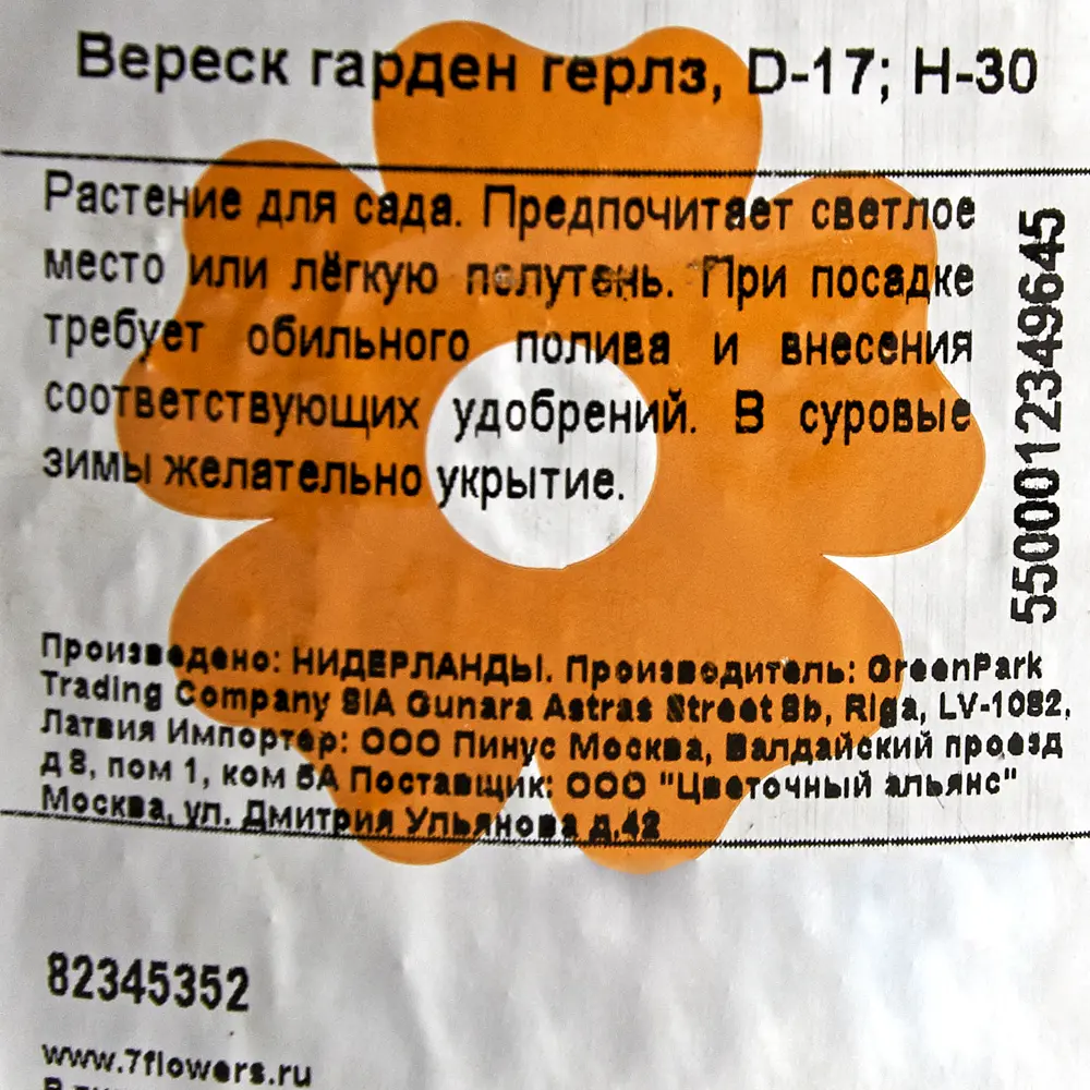 Вереск «Гарден Герлз» Ø17 см h30 см 82345352 STLM-2149549 Santreyd  - Вид №1