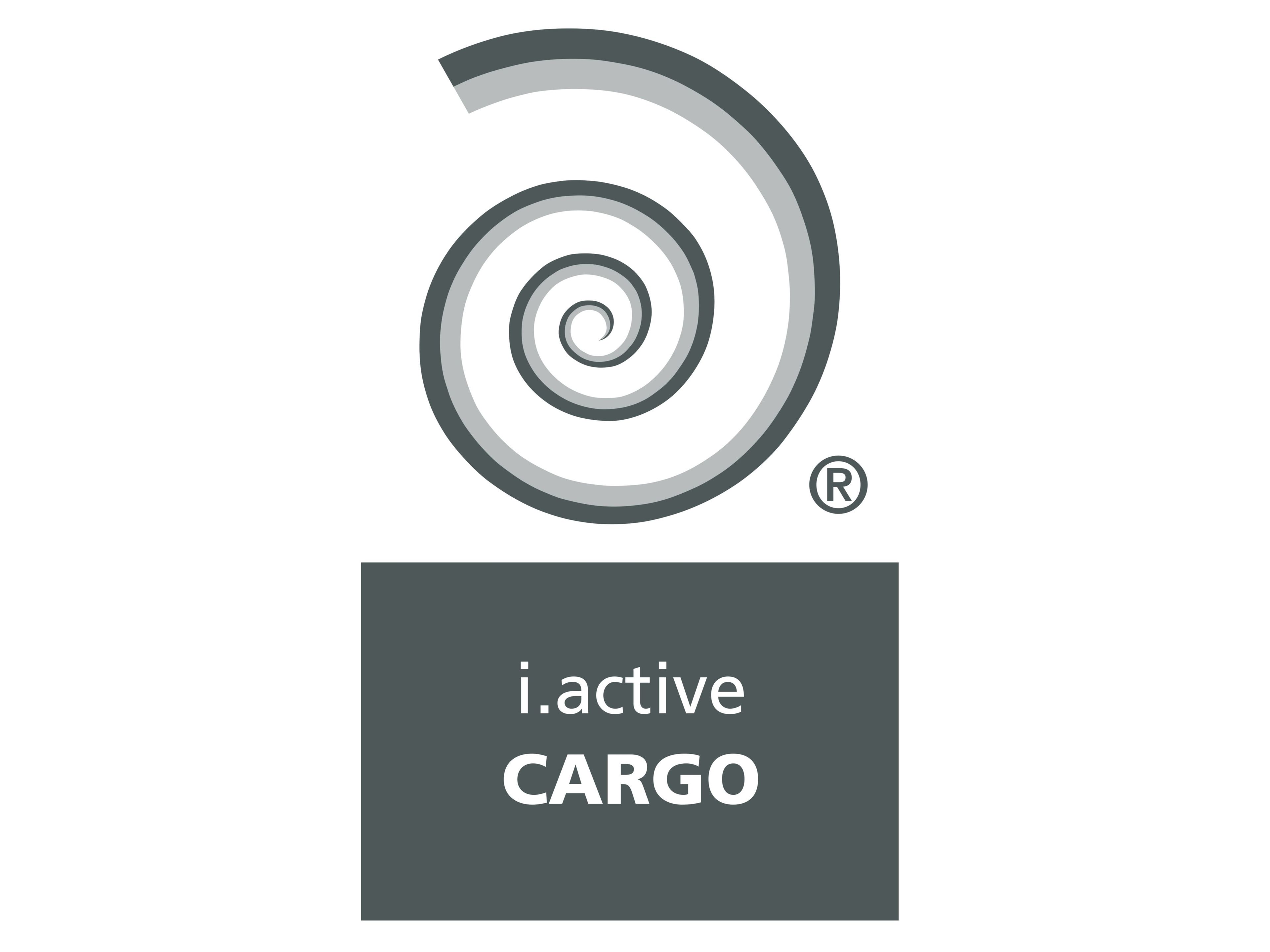 Цементный раствор для фотокаталитического покрытия Heidelberg Materials CARGO ARCH-00109847 - Вид №1