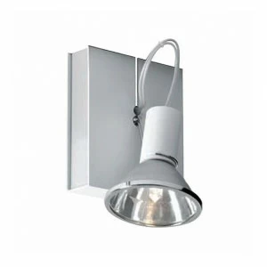 Светильник настенно-потолочный белый Fabbian D85G0301 FABBIAN  00-3882600 Белый