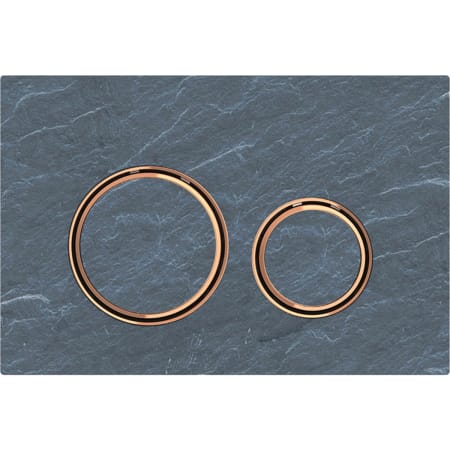 115.650.JM.1 Смывная клавиша Geberit Sigma21, для двойного смыва, цвет металлический красное золото Geberit  - Вид №5