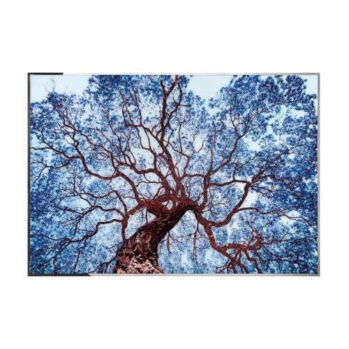 Tree Of Dream Смешанная техника Visionnaire 