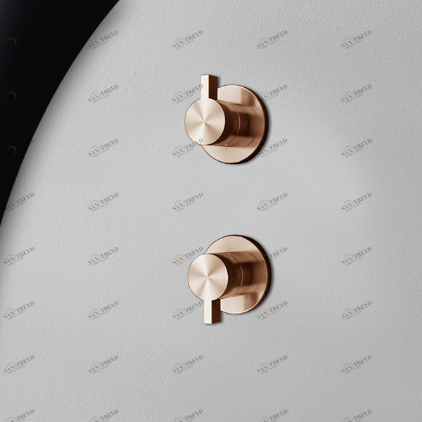 Смеситель для душа розовое золото TOOX Radomonte TXQ9R