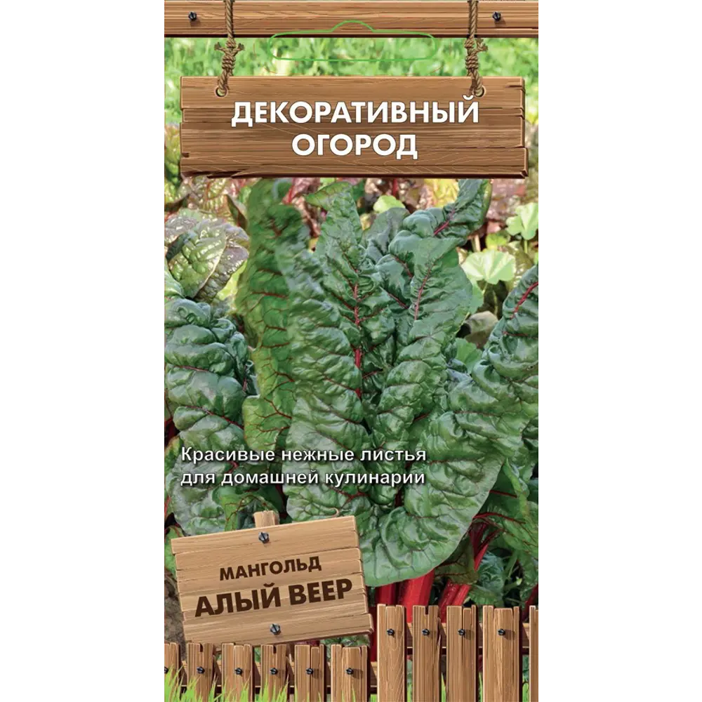 Семена цветов Поиск мангольд Алый веер 86218081 STLM-2171326 
