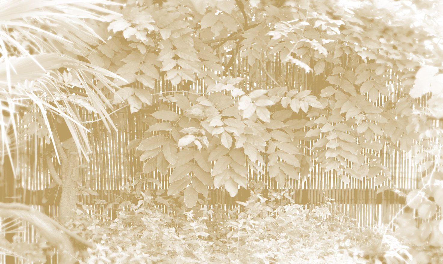 Обои с цветочными мотивами Jannelli&Volpi GRISIOLE ARCH-00098502 - Вид №1