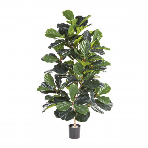 2000983174802 Фикус Лирата 130 см CARPET DECOR