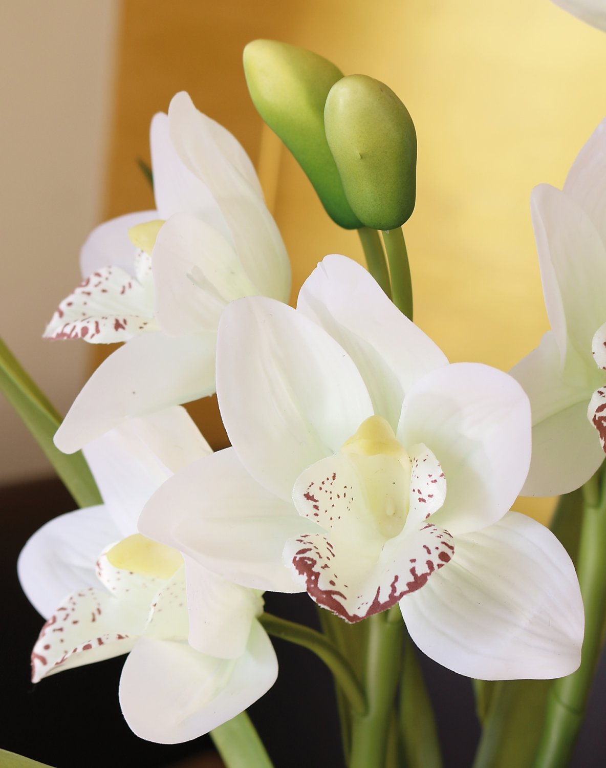 2530 778 a3 Пластиковая орхидея цимбидиум, горшечная, 51 см, real touch soft, бежево-белая H-andreas  - Вид №5