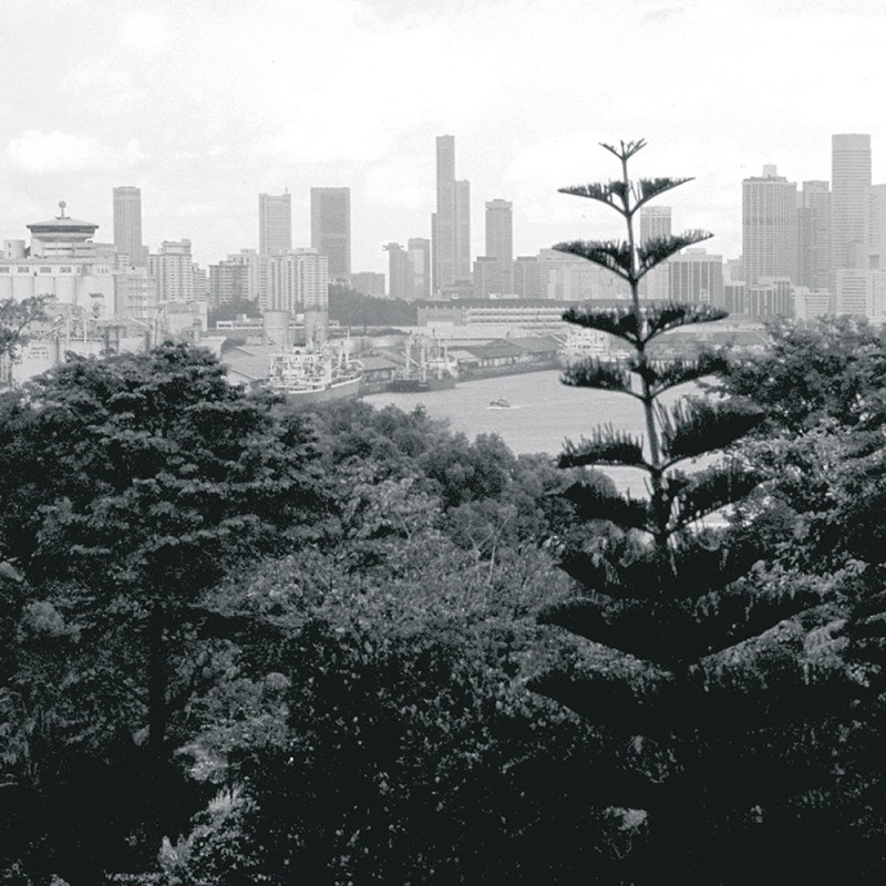 0117/CX38 Картина 0117 Adriani e Rossi  - Вид №2