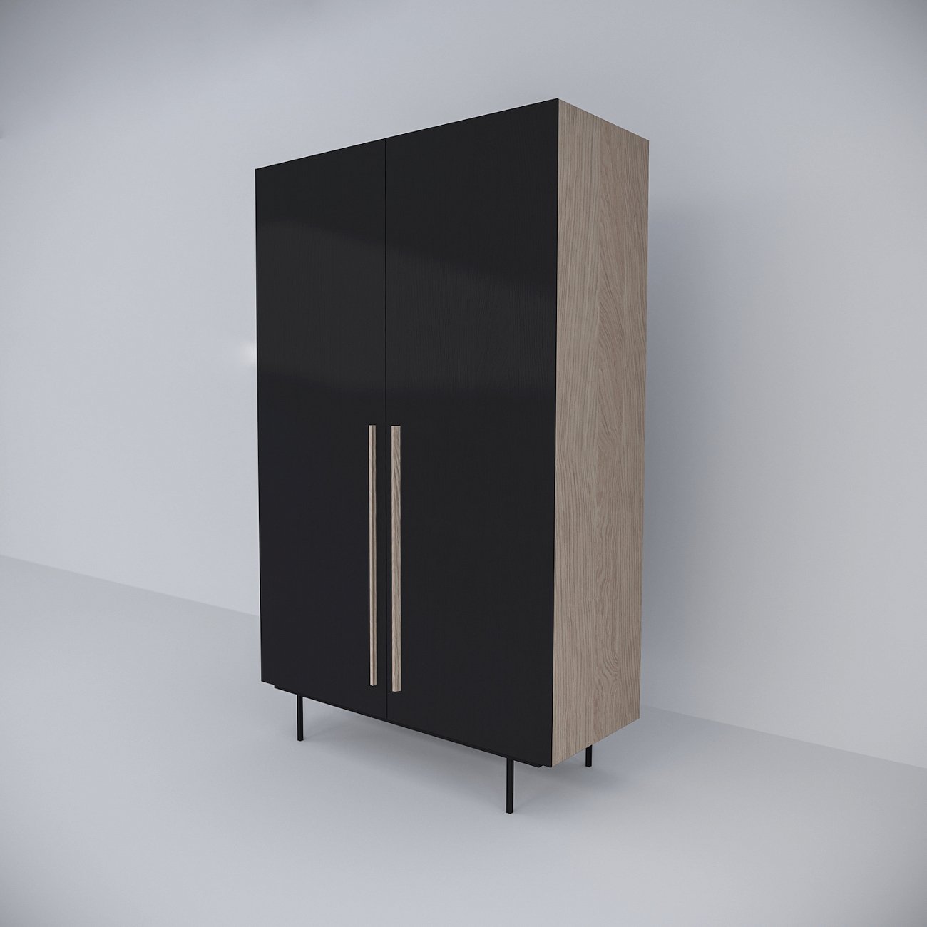Шкаф распашной двухдверный черный Tube BRAGIN DESIGN  256528 Черный  - Вид №1