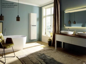 Электрический радиатор AZNRW-100-045 Zénia Acova 1000