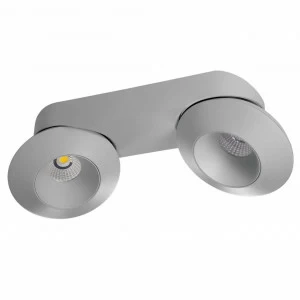 Потолочный светодиодный светильник Lightstar Orbe 051329 LIGHTSTAR ORBE 202445 Серый