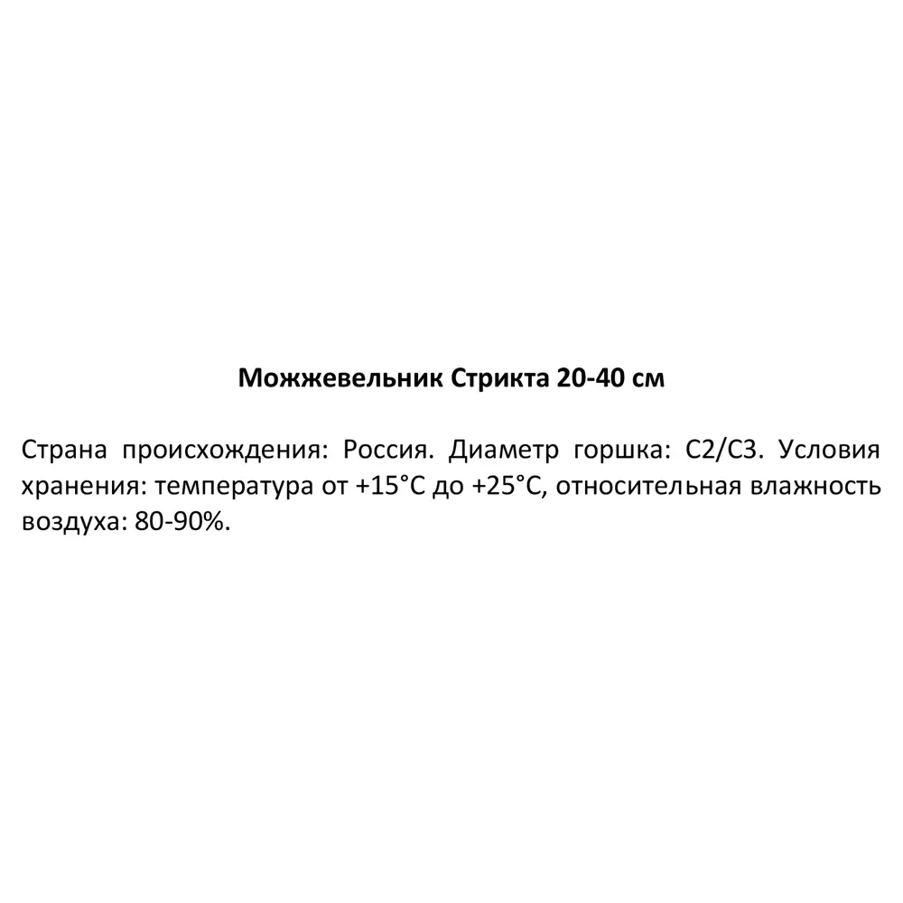 Можжевельник Стрикта h20-40 см 85320162 STLM-2189919 Santreyd  - Вид №2