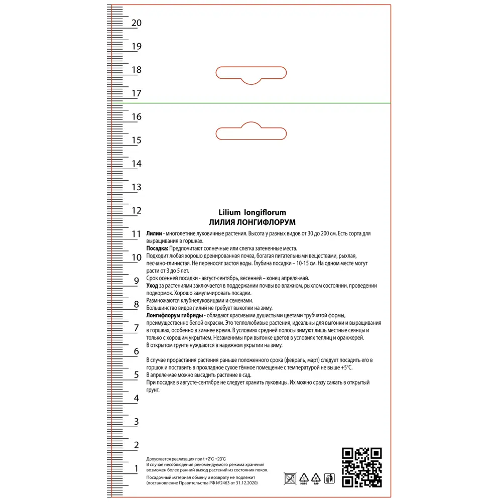 Лилия Лонгифлорум Дивайн 89452254 STLM-2193552 ПОИСК  - Вид №1