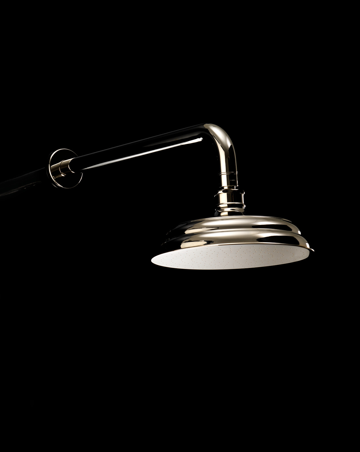 EXCGM140 Душевая головка и кронштейн Gemstone Devon&Devon  - Вид №1