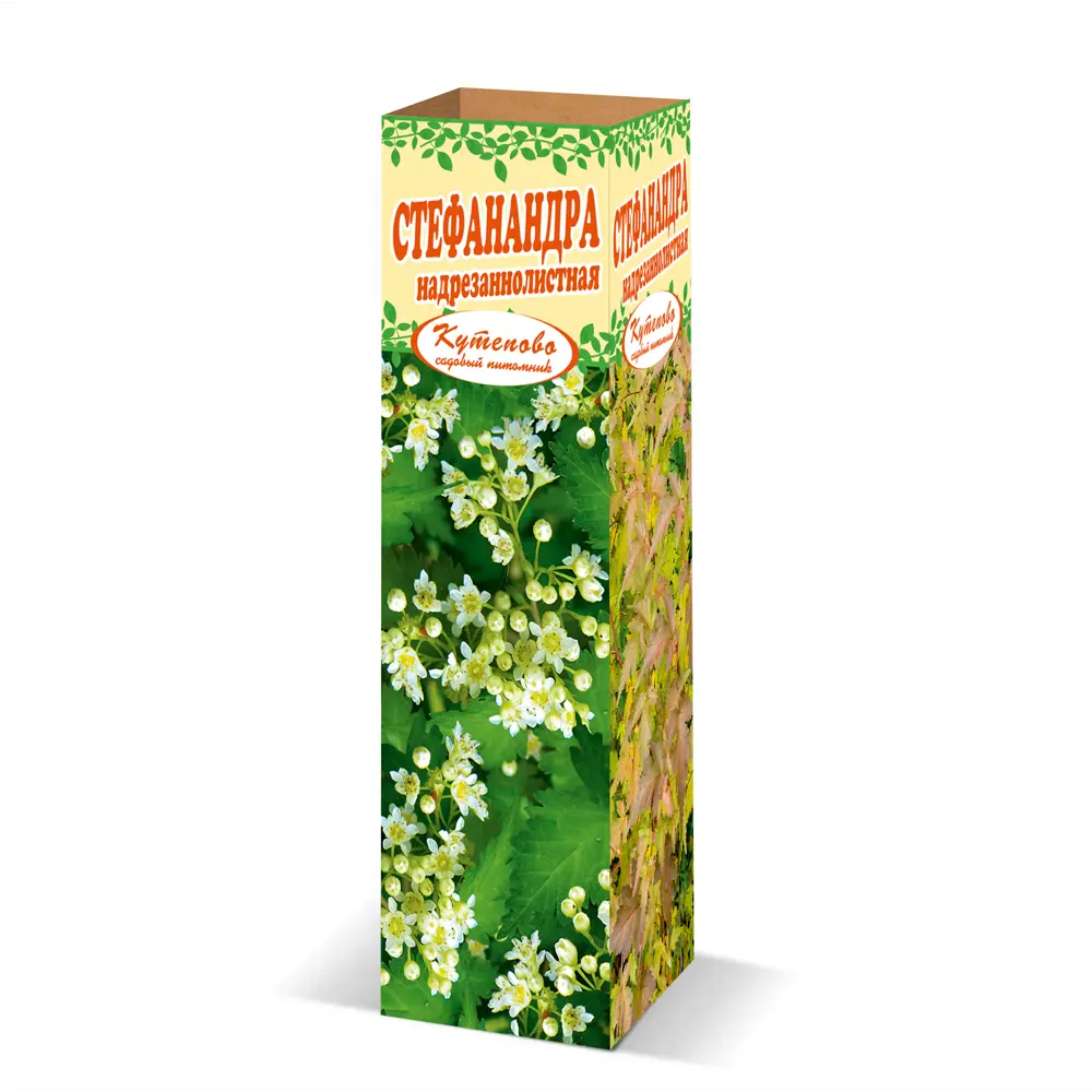 Стефанандра микс в тубе Кутепово 17497076 STLM-2184129 Santreyd 