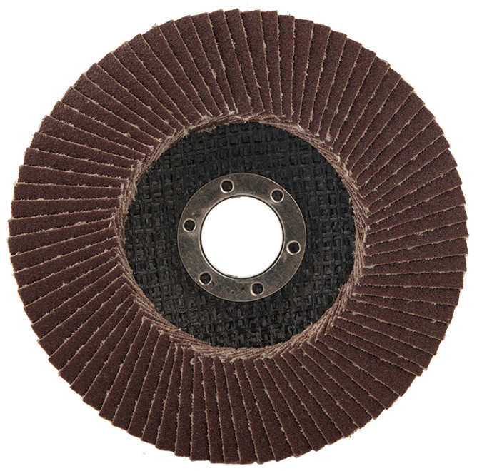 Диск лепестковый Sturm! 9010-01-125x22-25 8118294 STDN-0101912 - Вид №1