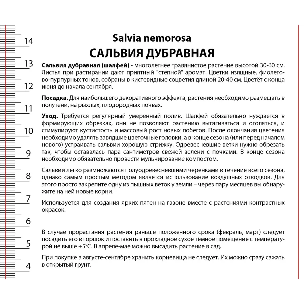 Сальвия дубравная Шалфей Блау Кенигин 89433479 STLM-2031360 ПОИСК  - Вид №2