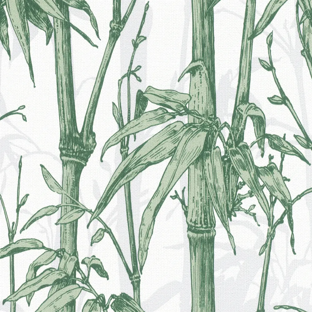 Обои флизелиновые Rasch Florent Бамбук зеленые 1.06 м м R819946 Florentine STLM-2005328 - Вид №1