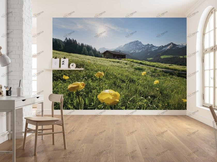 Komar Флизелиновые обои с пейзажами Wanderlust Shx8-003