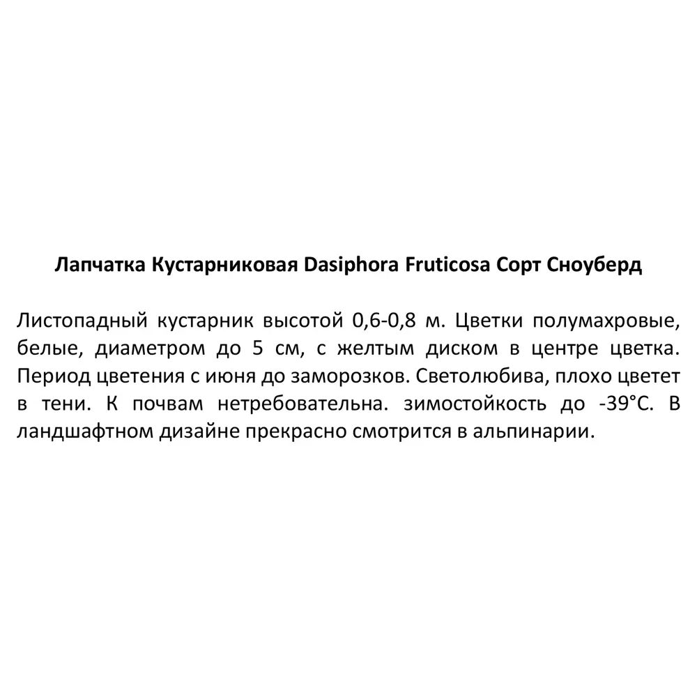 Лапчатка Сноуберд ø15 h20 см 85606789 STLM-2037528 Santreyd  - Вид №3
