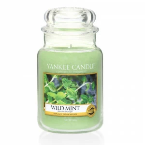 Свеча большая в стеклянной банке "Дикая мята" 623 гр 110-150 часов YANKEE CANDLE  267812 Зеленый