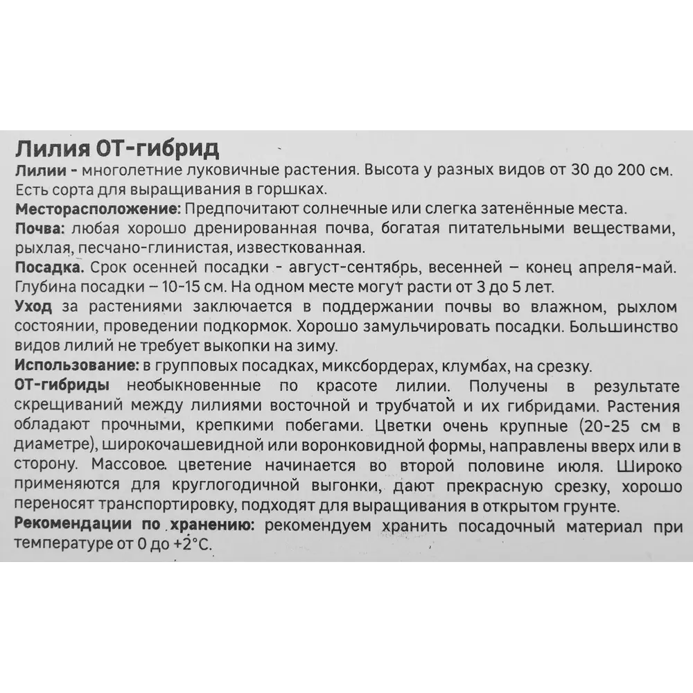 Лилия Geolia от-гибрид Беверли Дримс STLM-2203239 - Вид №3