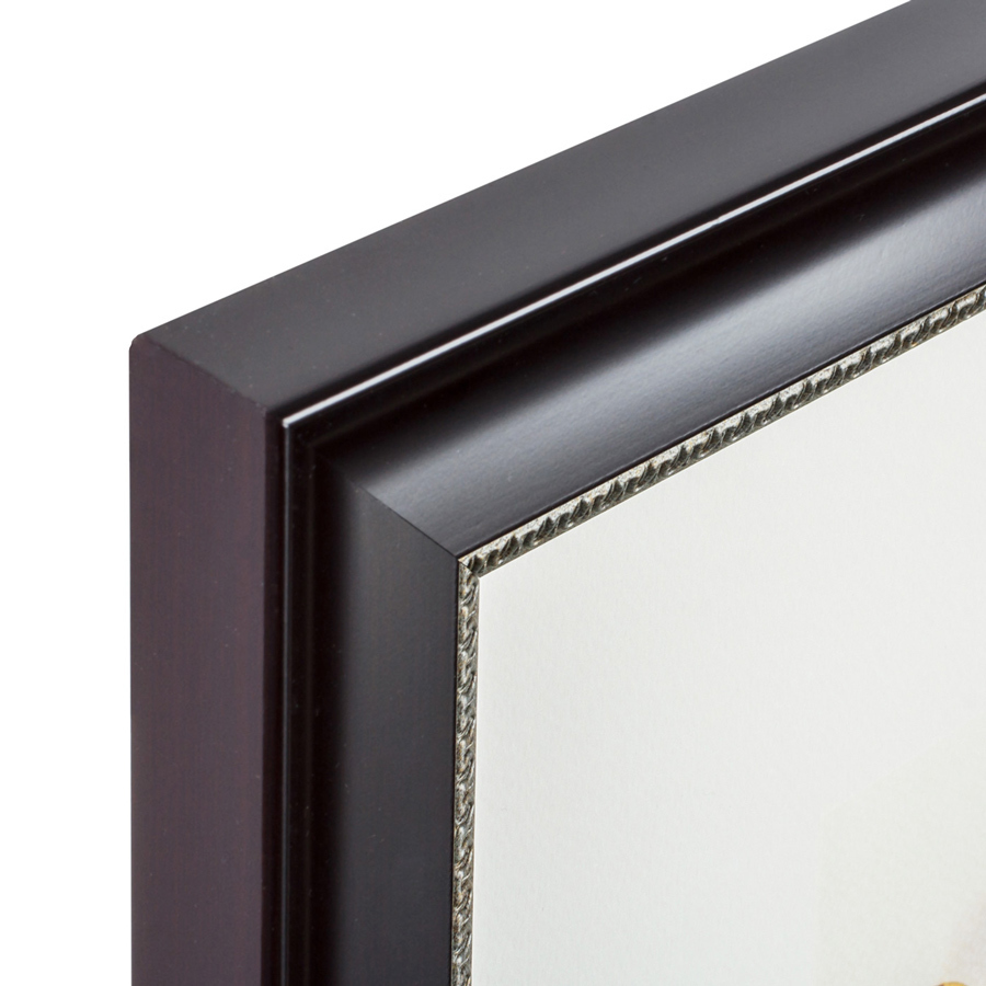 Литография на тонированной бумаге 42х52 см "Белозобый пёстрый голубь, литография, 1870г" КАРТИНЫ В КВАРТИРУ  093844 Бежевый;белый;зеленый;разноцветный  - Вид №3