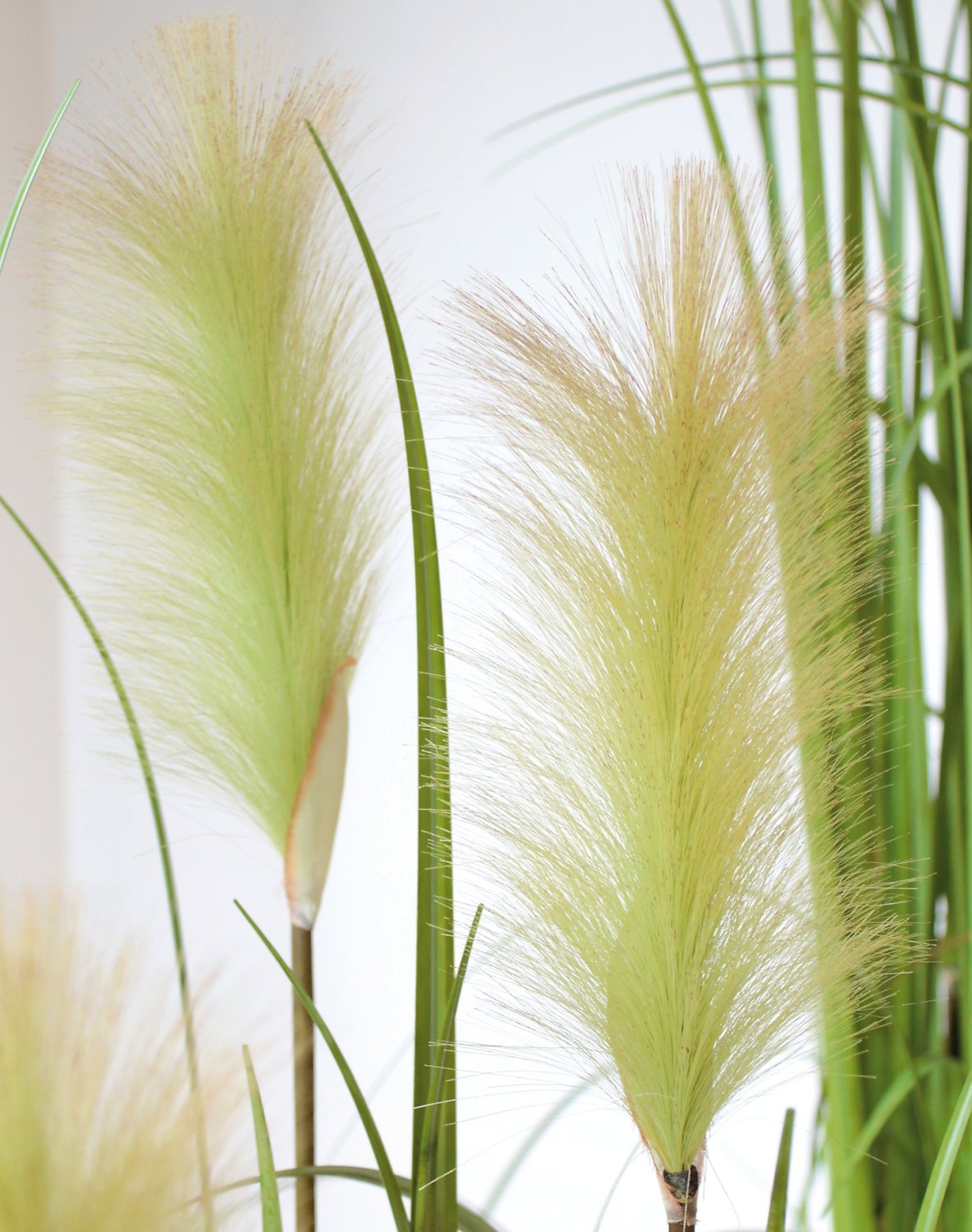 4568 883 a3 Трава искусственная пампас, горшечная, 120 см, зеленая H-andreas  - Вид №2