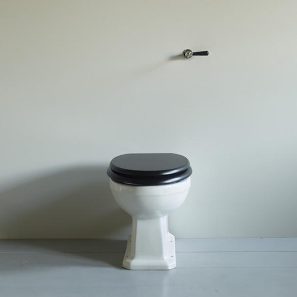 3-02-004 Туалет Soho со скрытым бачком Soho The water monopoly