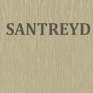 533323 Обои Rasch Berlin