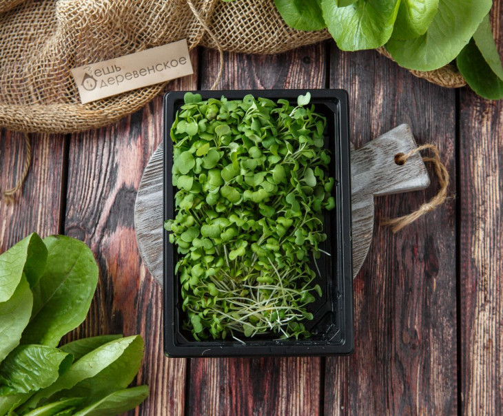 4921 Микрозелень кейла Вкусляндия  - Вид №2