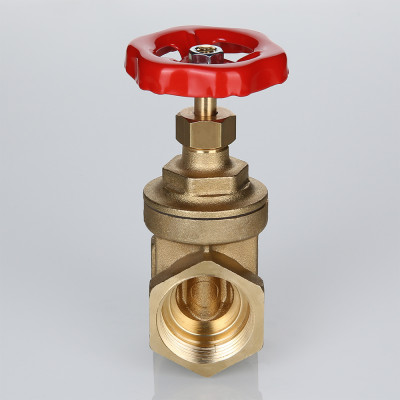 H.012.12 Клиновая задвижка WATERGATE Valtec 4"  - Вид №6