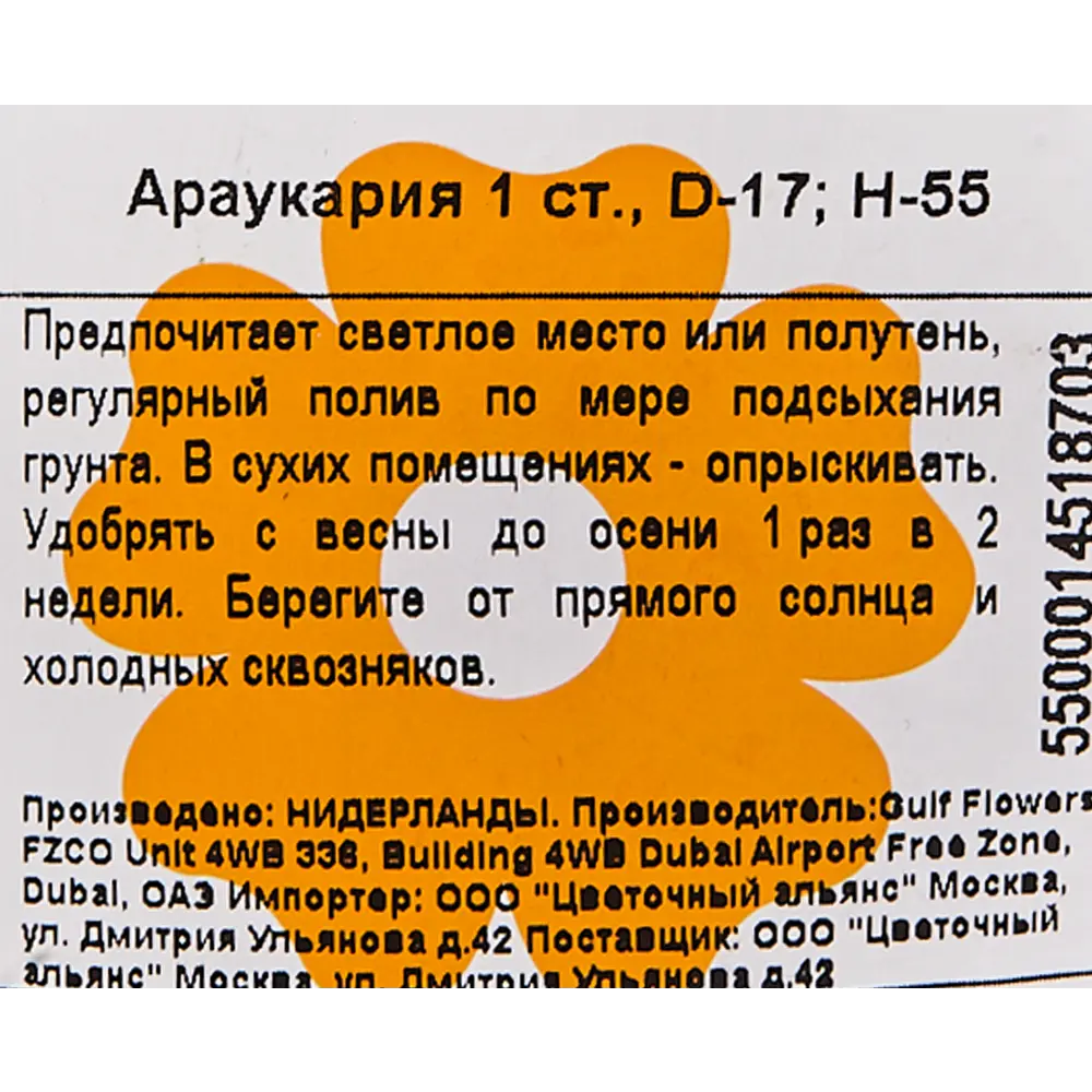 Араукария 17x55 см 83060671 STLM-2109618 Santreyd  - Вид №2