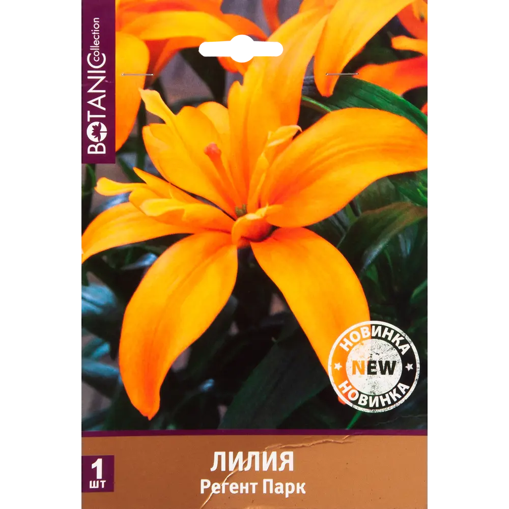 Лилия Регент Пинк 12/14, 1 шт 82539376 STLM-2022648 Santreyd 