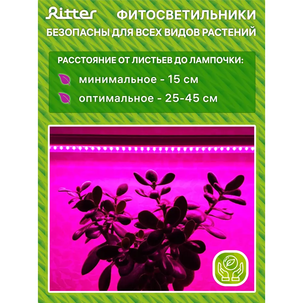 Фитосветильник линейный светодиодный Ritter 10 Вт 572 мм на штативе с держателем 56302 0  красно-синий спектр розовый свет STLM-2134822 - Вид №12